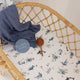 Ocean Organic Bassinet Sheet / Change Pad Cover - Thumbnail 4