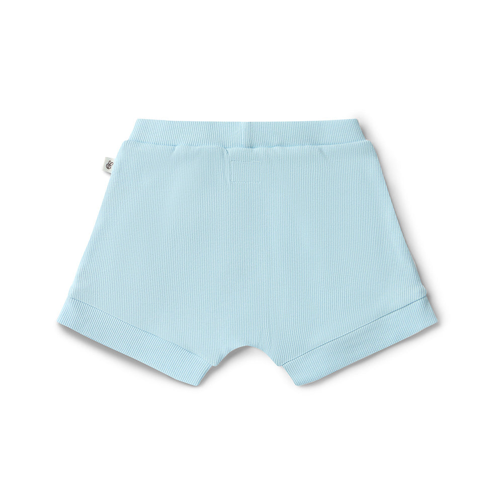 Baby Blue Organic Shorts - View 6