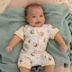 Bumblebees Organic Snuggle Shortie - Thumbnail 7