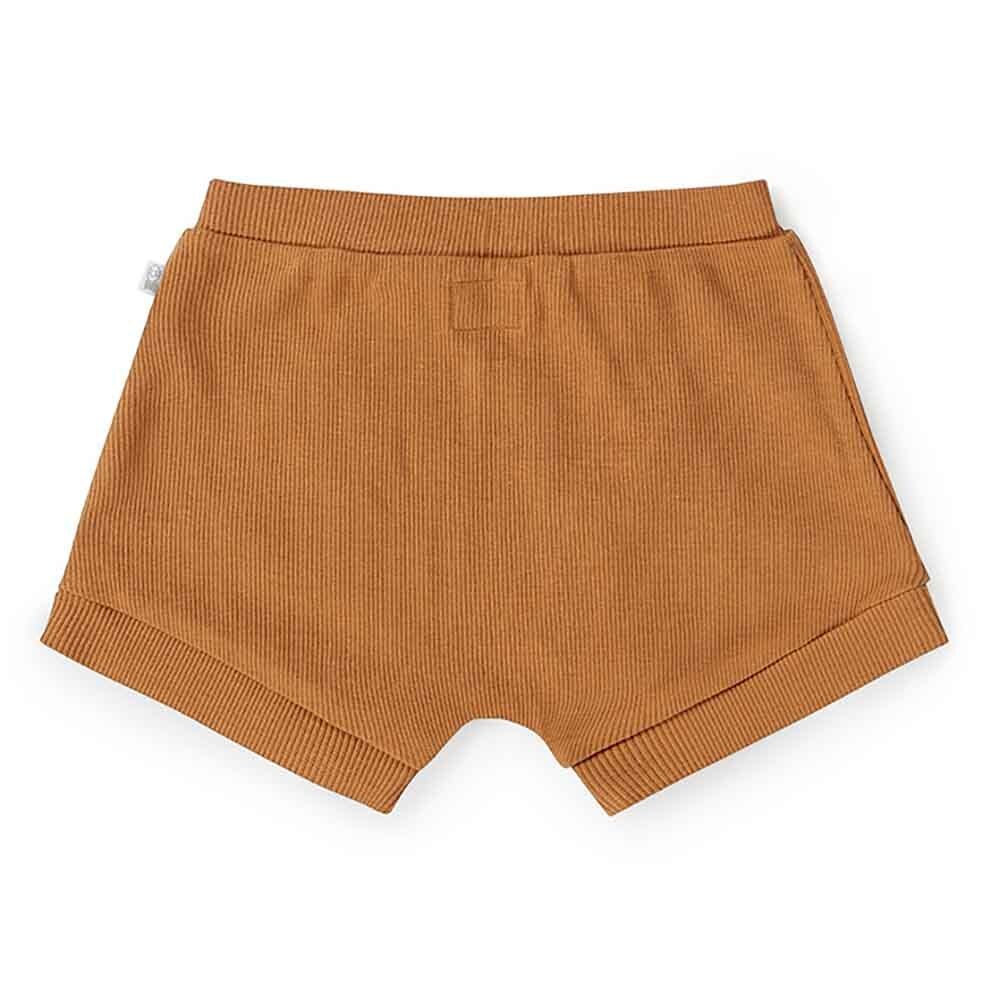 Chestnut Organic Shorts - View 4