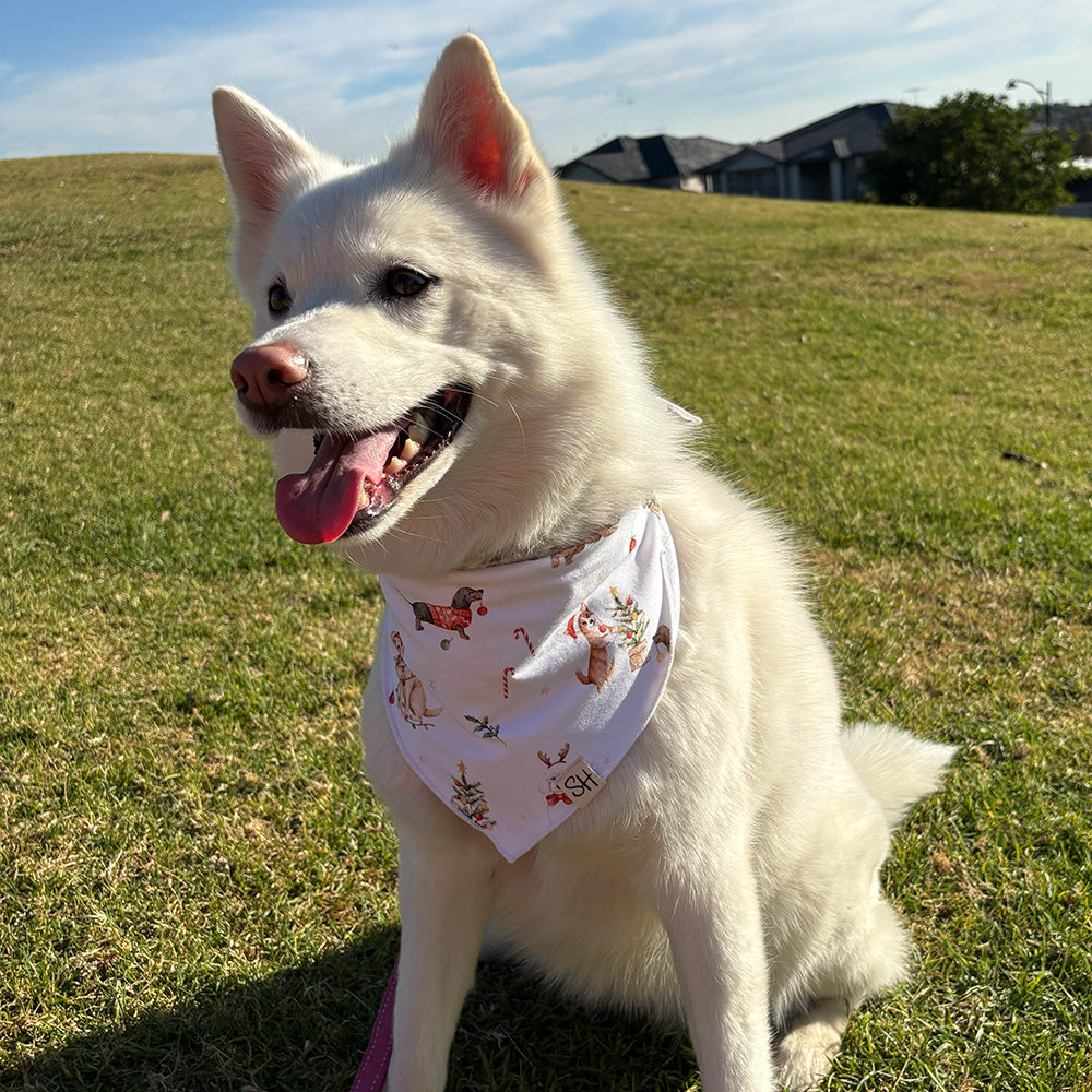 Christmas Pups Dog Bandana - View 9
