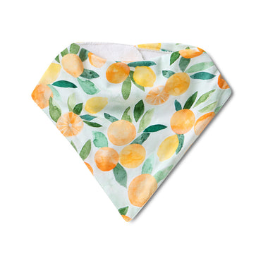 Citrus Squeeze Organic Dribble Bib | Snuggle Hunny