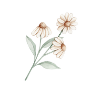 New Secret Garden Prints