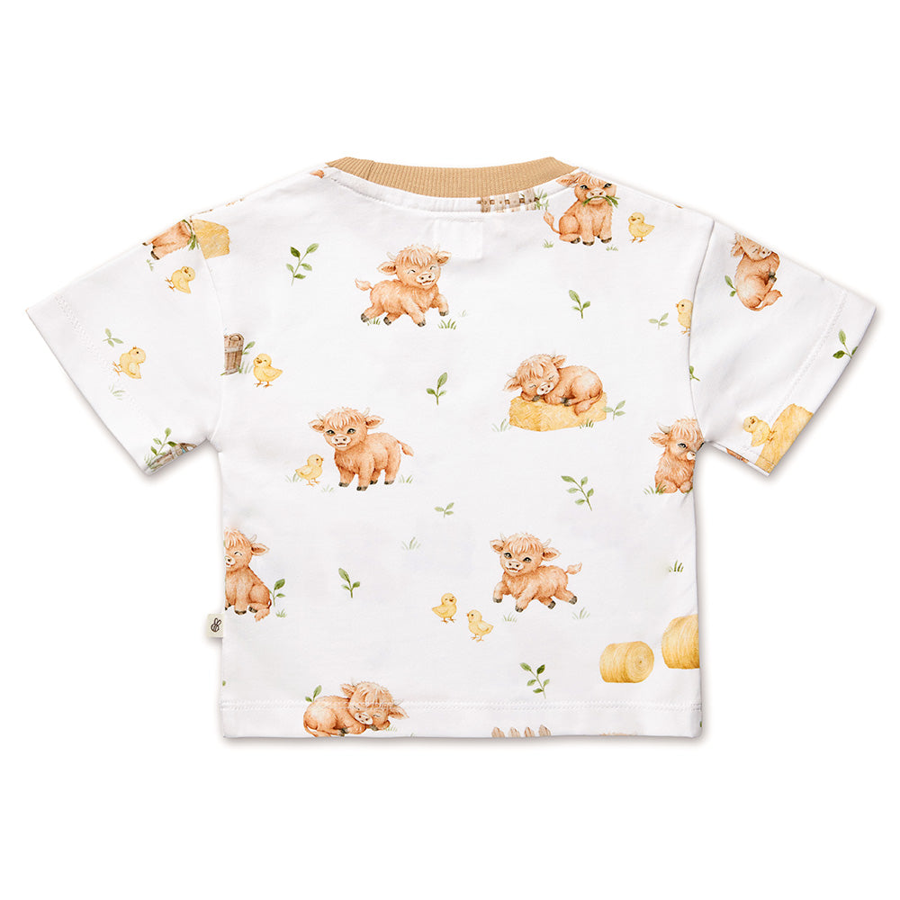 Highland Cows Organic Oversized Tee - View 5