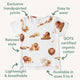 Lion Organic T-Shirt - Thumbnail 4