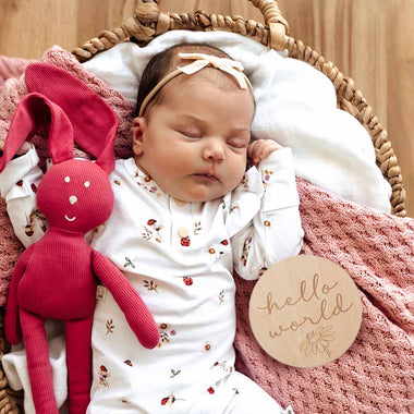 Milestone Cards - Ladybug Wooden Milestone Cards