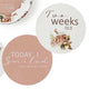 Rosebud & Pink Sand Reversible Milestone Cards - Thumbnail 3