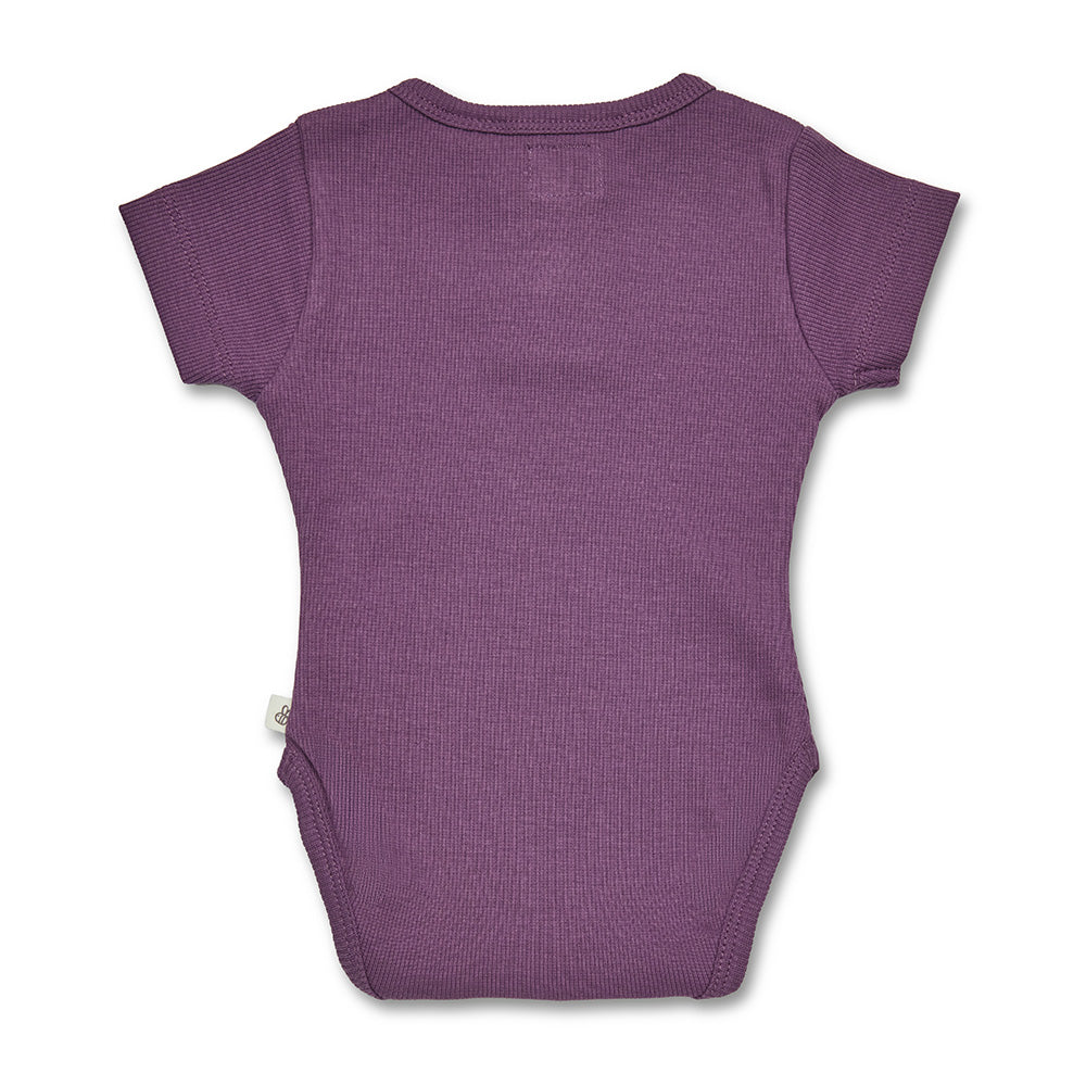 Mulberry Rib Short Sleeve Organic Bodysuit - View 4