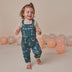 Trains Organic Snuggle Overalls | Snuggle Hunny