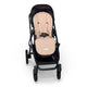 Bundle - Kittens Pram Liner & Strap Cover Set - Thumbnail 7