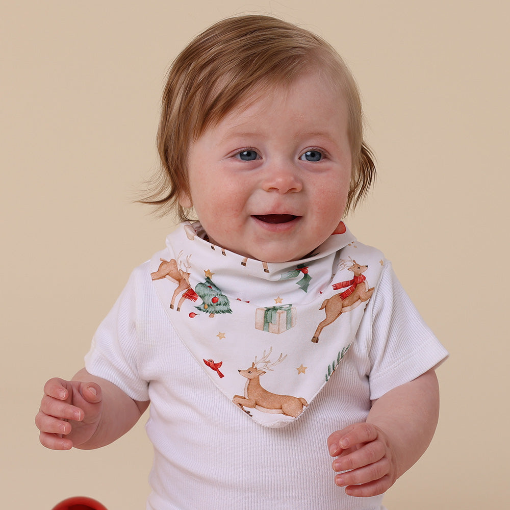 Prancer & Friends Organic Dribble Bib - View 1