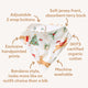 Prancer & Friends Organic Dribble Bib - Thumbnail 4