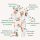 Rosebud Organic Snugglesuit Convertible Romper with Frill - Thumbnail 4