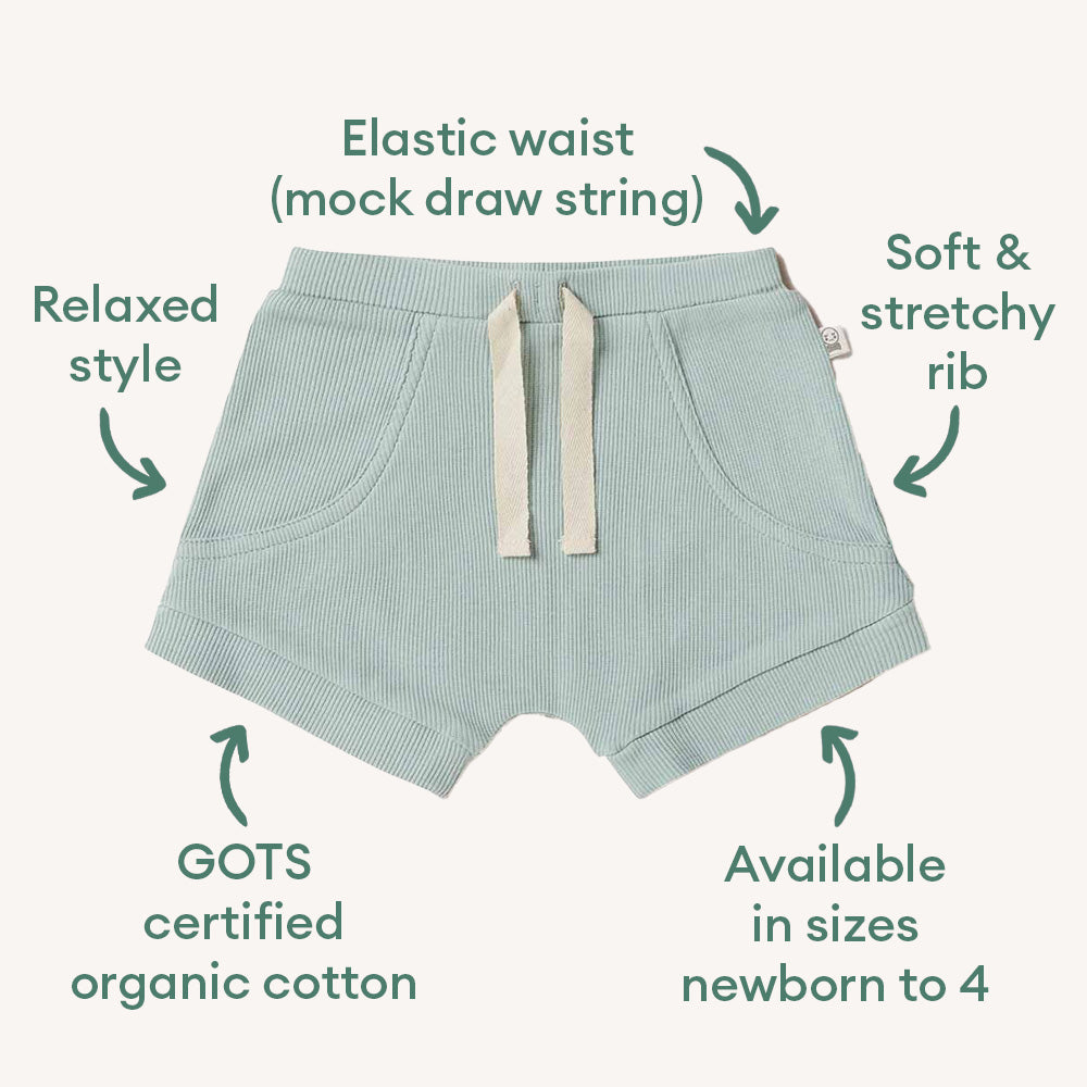 Sage Organic Shorts - View 4