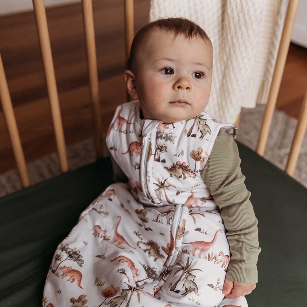 Dino Organic Sleeping Bag 2.5 Tog - View 9