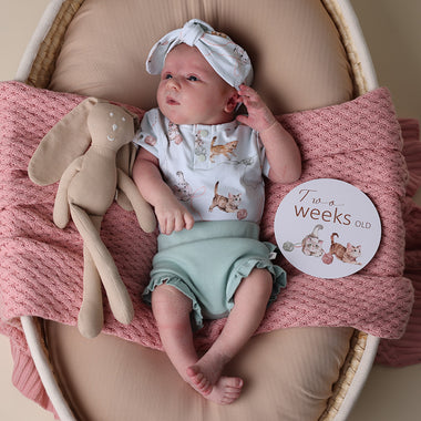 Baby with Kittens & Pebble Reversible Milestone Cards | Snuggle Hunny