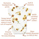 Sunflower Short Sleeve Organic Kimono Bodysuit - Thumbnail 5